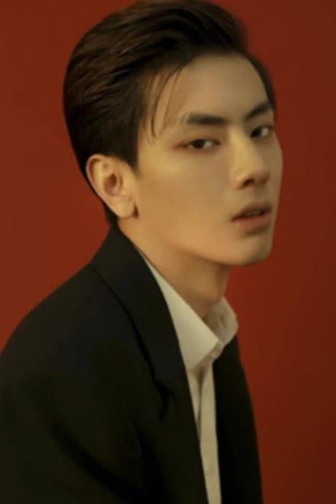 Han Jihui