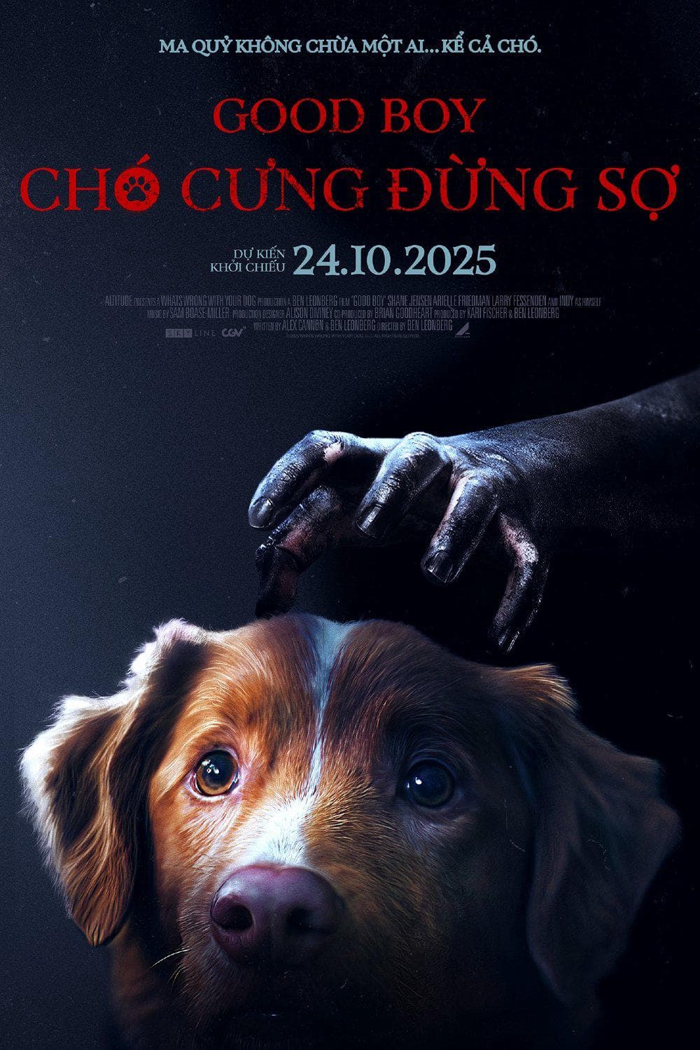 Chó Cưng Đừng Sợ